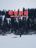 峡谷情缘海报