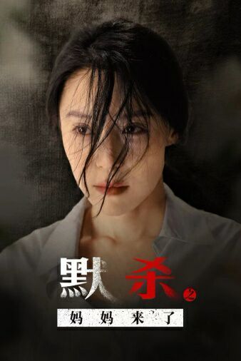 默杀之妈妈来了海报