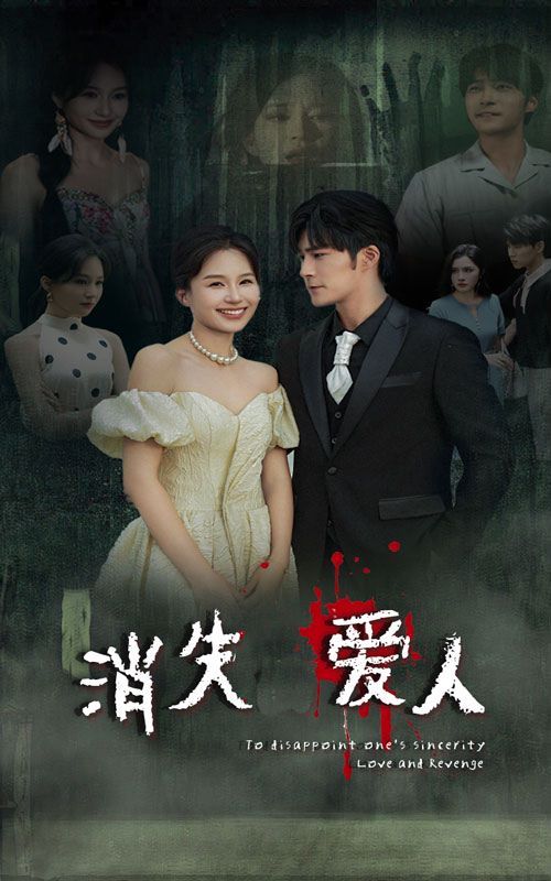 消失爱人海报