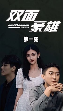 双面豪雄海报