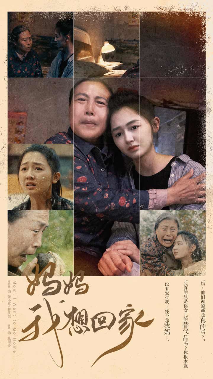妈妈我想回家（离离原上草）海报