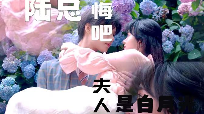 陆总忏悔吧，夫人才是白月光海报