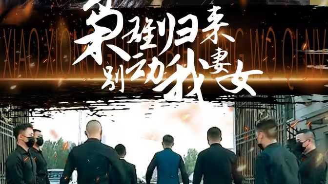 枭雄归来别动我妻女海报