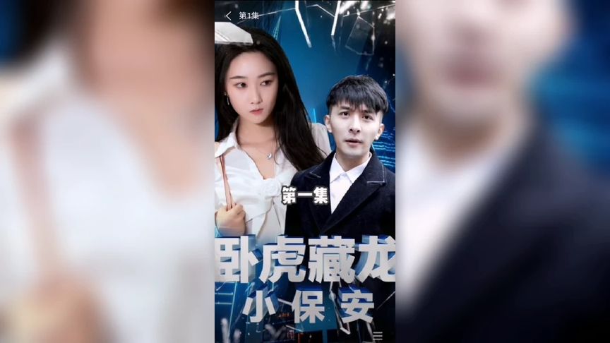 藏龙海报