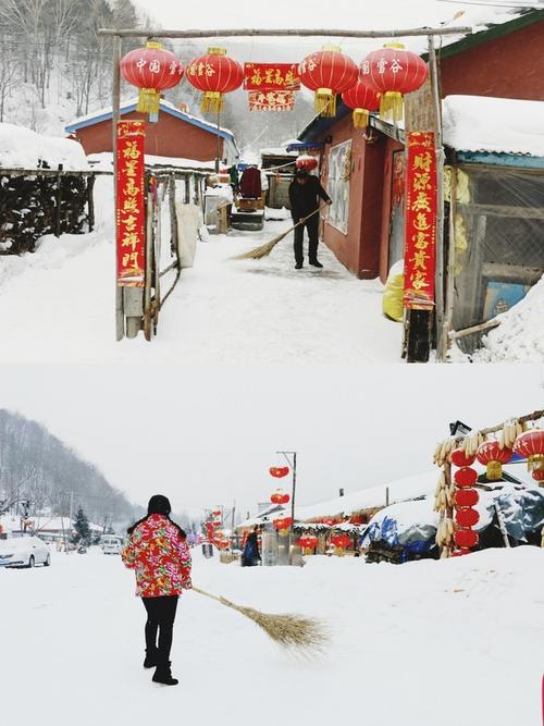 东北不冷海报