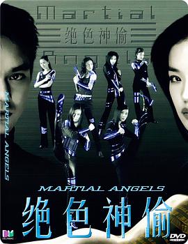 绝色神偷海报