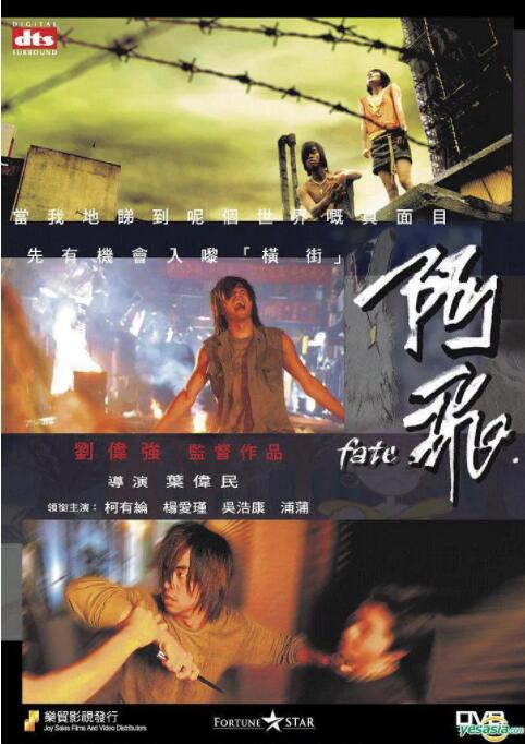 阿飞海报