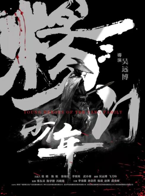 杨门少年海报