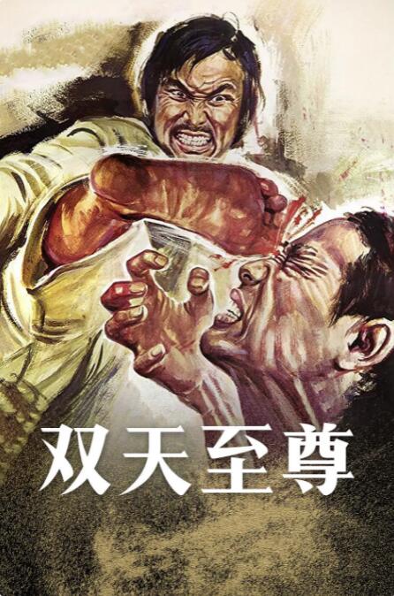 双天至尊海报