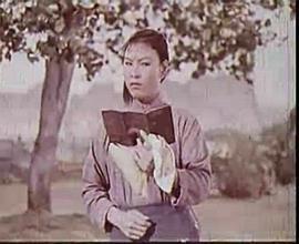 游乡海报