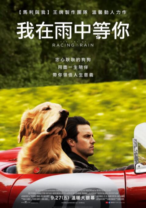 我在雨中等你海报